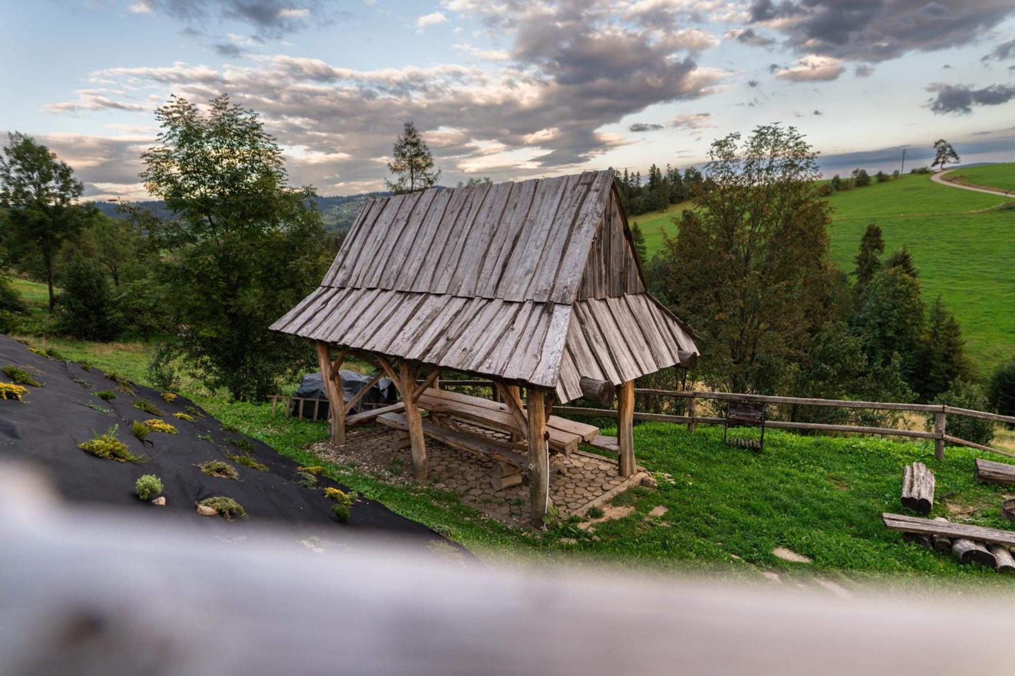 Ku Sosnie Apartamento Bukowina Tatrzańska Exterior foto