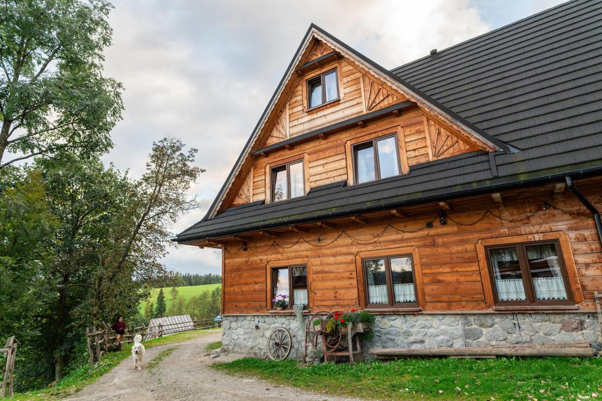 Ku Sosnie Apartamento Bukowina Tatrzańska Exterior foto